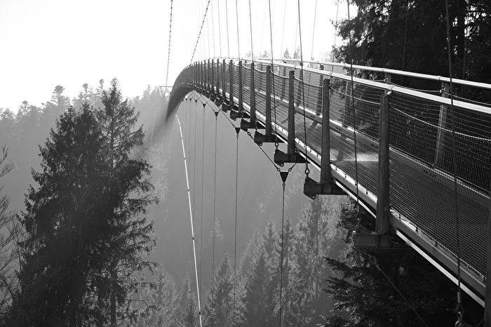 The Bridge