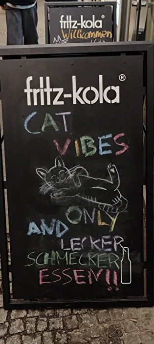 Cat Vibes