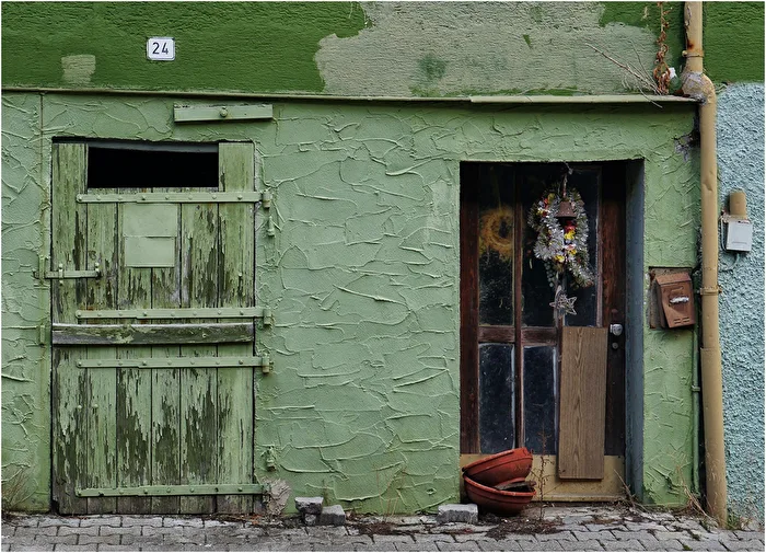 Green feeling House summer 24