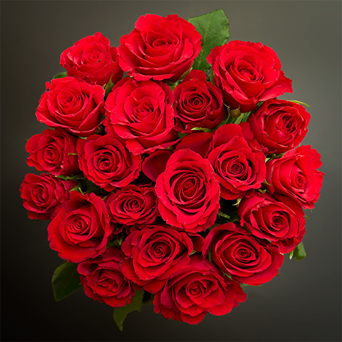 Rosen Rot Strauss Love