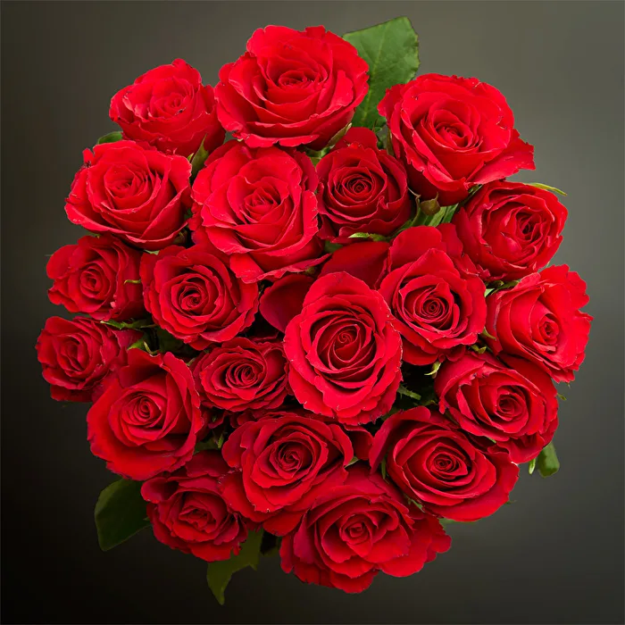 Rosen Rot Strauss Love