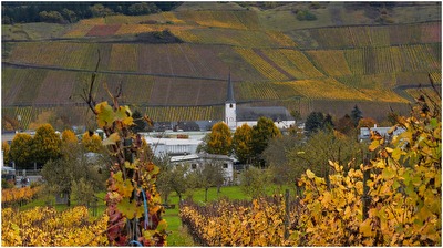 Indian Summer in Longuich