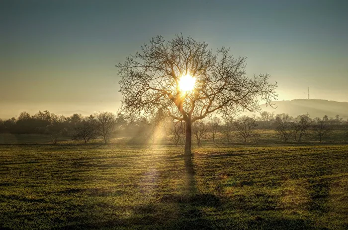 here comes the sun