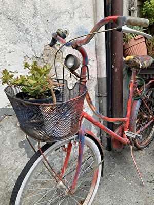 #Blumentopf - hier mal mobil