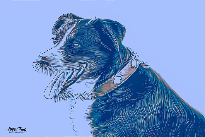 Hund Digital
