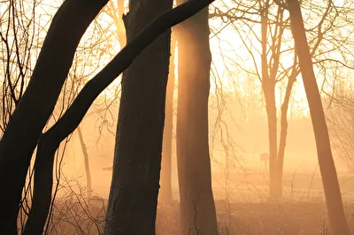 Morgenlicht leuchtet...