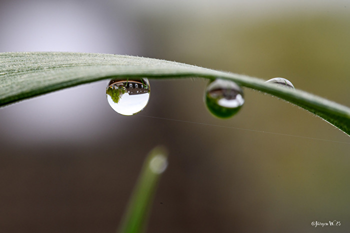 Blick durch den Regentropfen