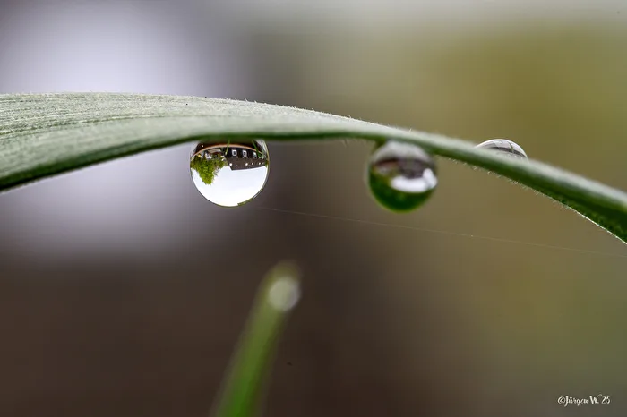 View through the raindrop