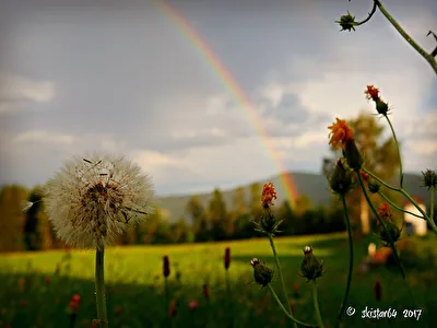 Nach dem Regen