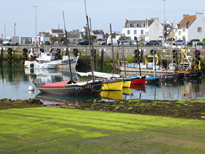 Im Hafen von Lesconil
