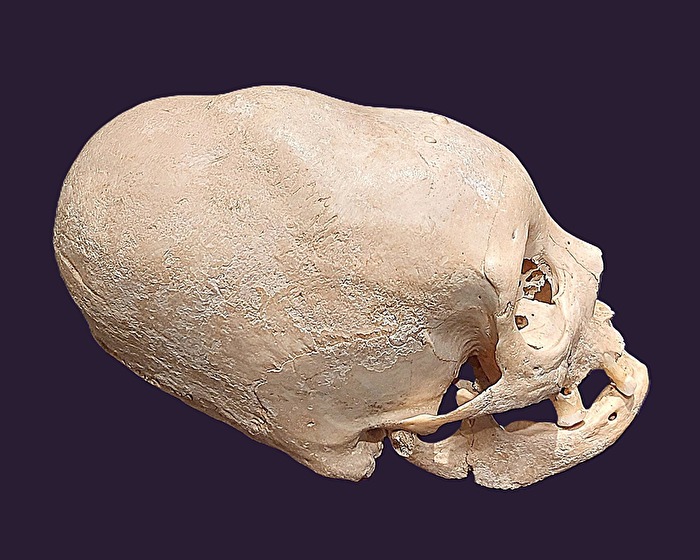 „E.T. - Der Außerirdische ?“