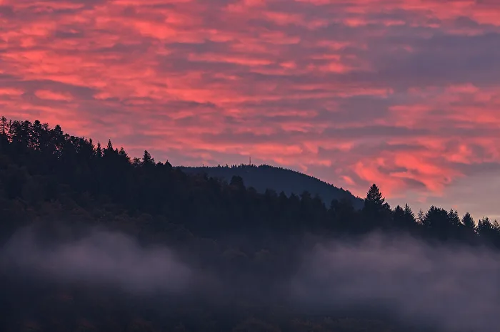 Cloud Play