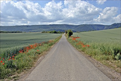 Landschaft