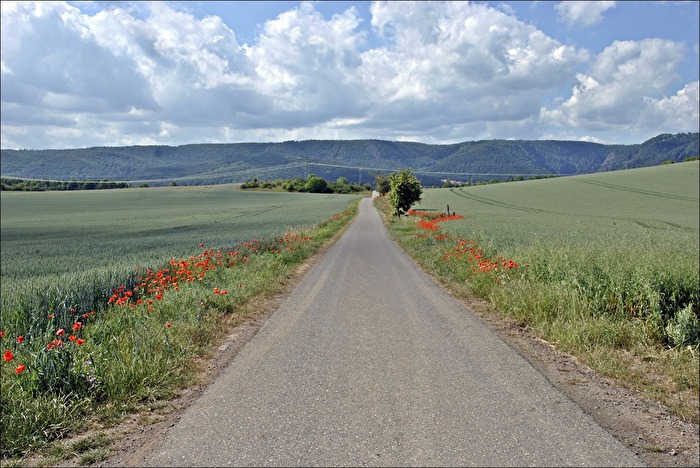 Landschaft
