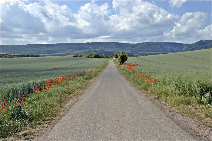 Landschaft