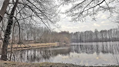 Nettebruch fließt in den Windmühlenbruch