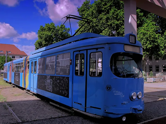 die Blaue