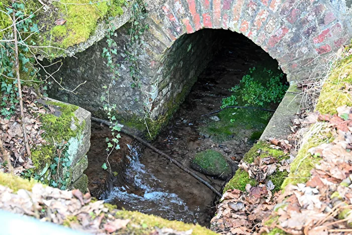 Verzwickte Verzweigung