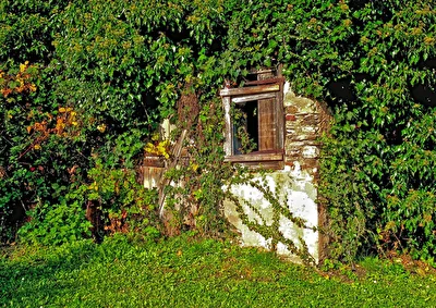 das verzauberte Haus