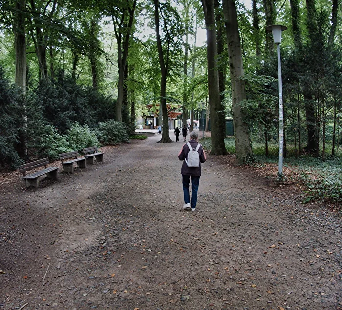 Wohin des Weges