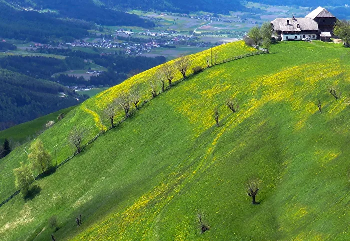 Frühling im Süden 2