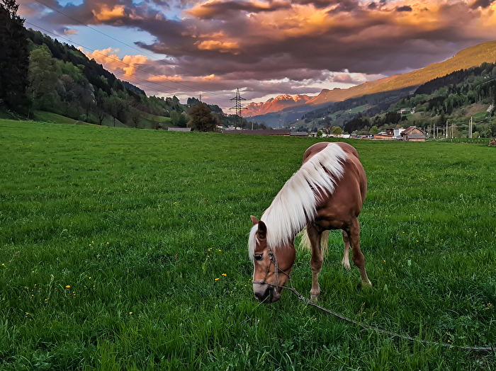 Abendstunde