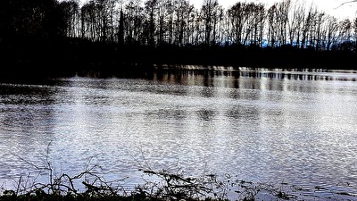 Nettebruch mit Blick auf Breyell