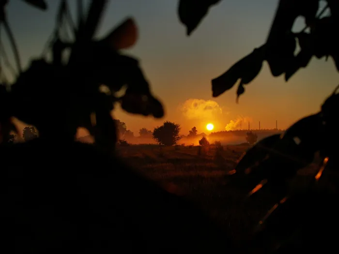 Sunrise