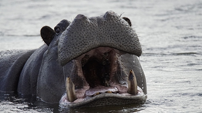 Zähne - mal wieder zum Zahnarzt???
