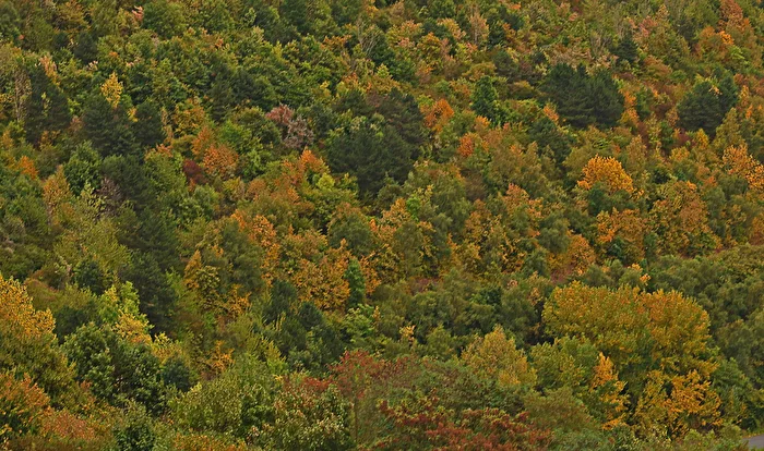 Herbstfarben