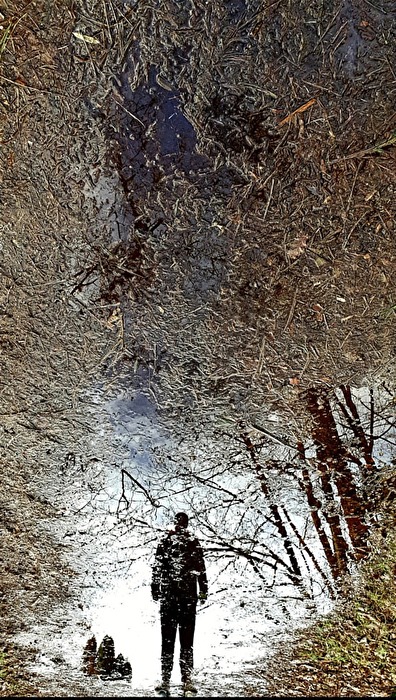 Man in the mirror