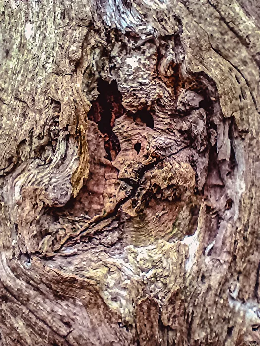 Baumdetails