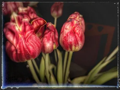ohne Titel