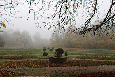 Traumschiff im Nebel