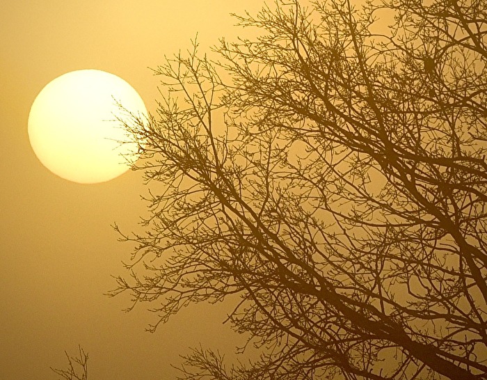 Wärme.... Griff nach der Sonne