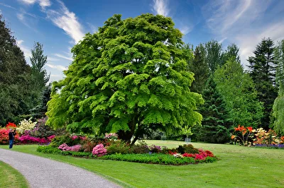 Park - Irland