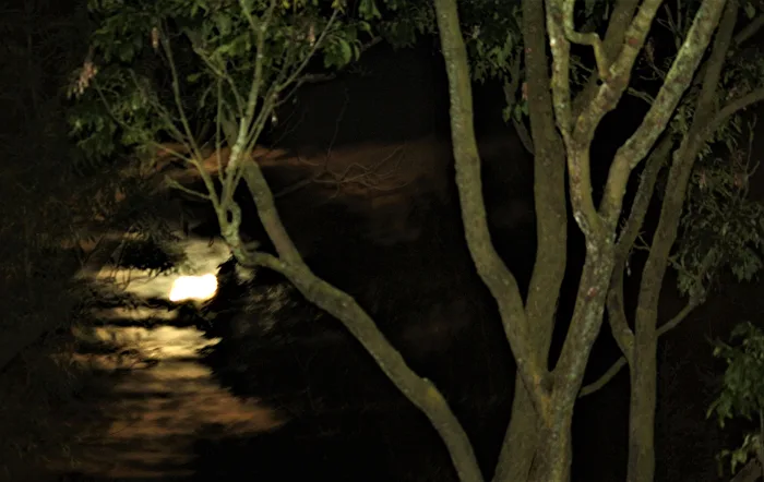 Dans l'obscurité de la nuit