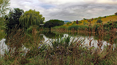 Allein mit der Natur