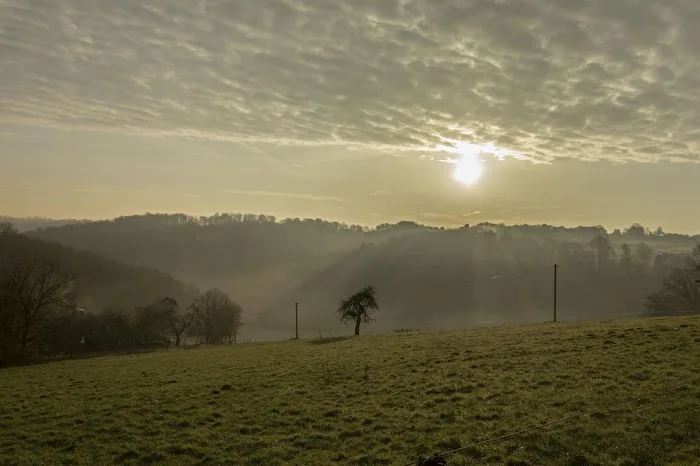 Sonne
