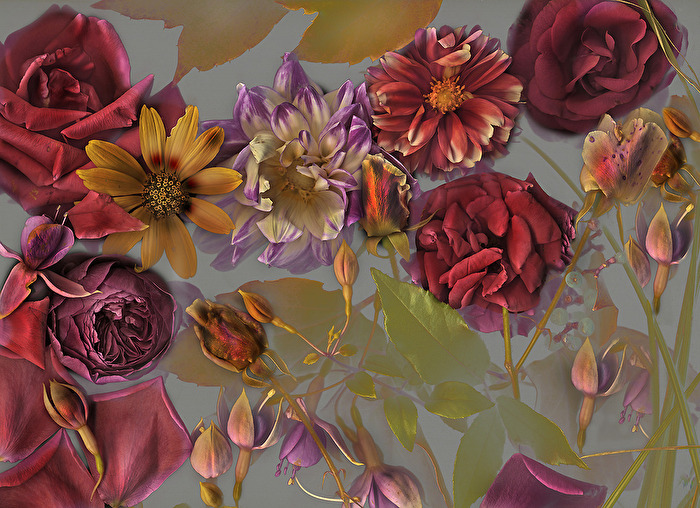 les belles fleurs, juste pour toi