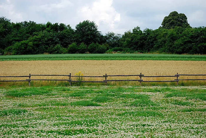 Der Sommer in "Schichten"...
