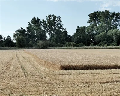 Erntezeit