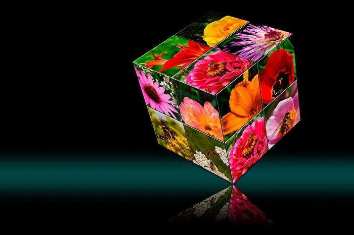 Blossom Cube