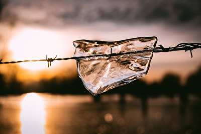 Auch wen der Frühling da ist, Eis am Zaun