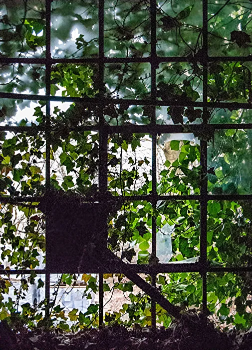 Das Fenster