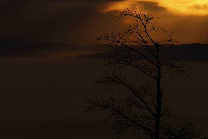 Silhouette