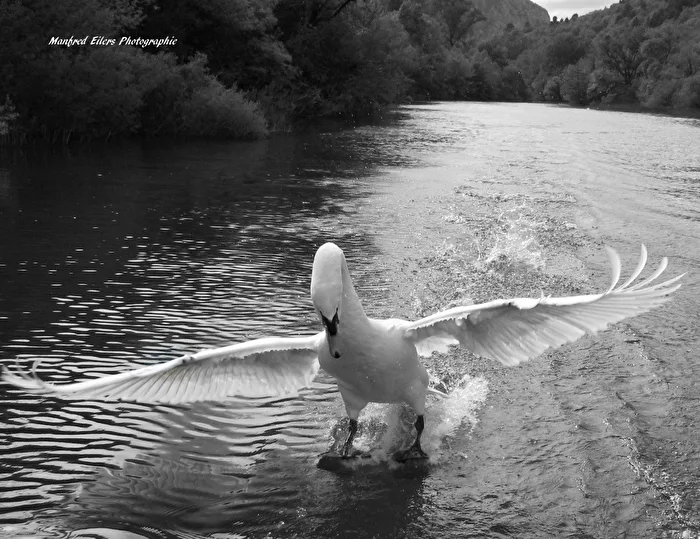 Landing