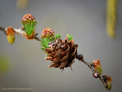 Frühling