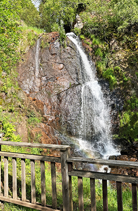 Wasserfall  /  Tiefenbach-Wasserfall (Osterzgebirge)