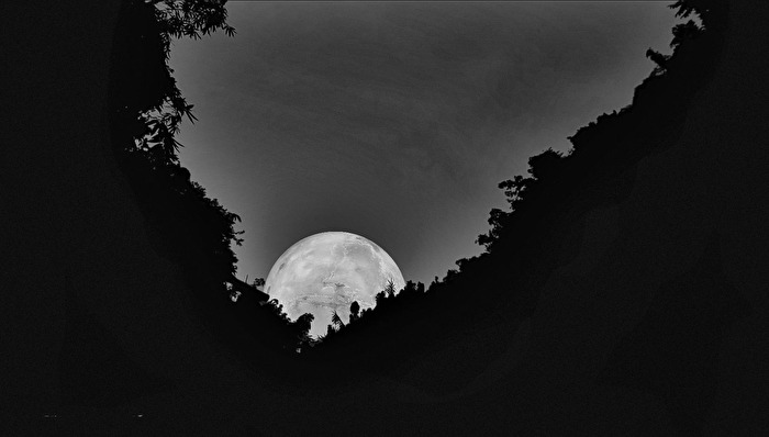 Vollmondnacht im Dschungel von Vietnam